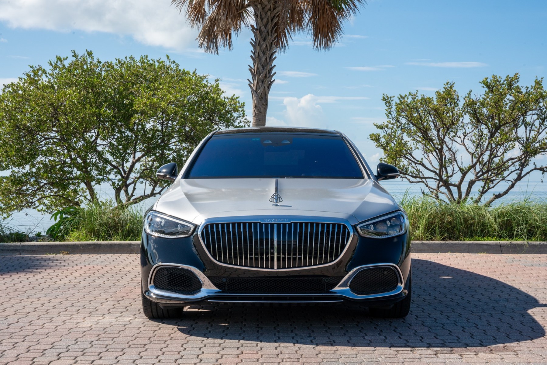 Mercedes-Maybach S580 photo 2